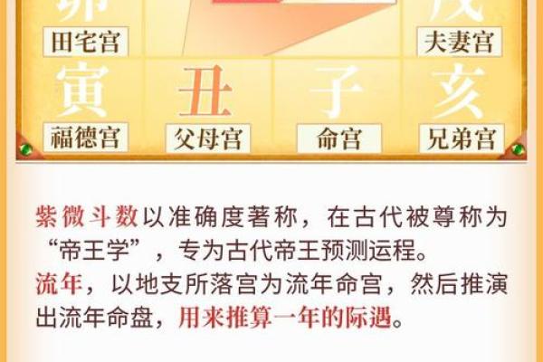 如何选择最准的紫微排盘平台？揭秘最精准的命运解析