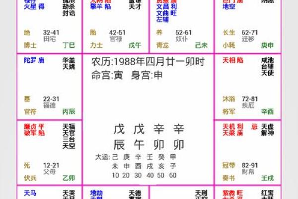 如何选择最准的紫微排盘平台？揭秘最精准的命运解析