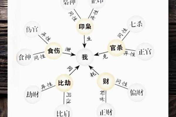 走进五行世界，众属相的命理密码解析