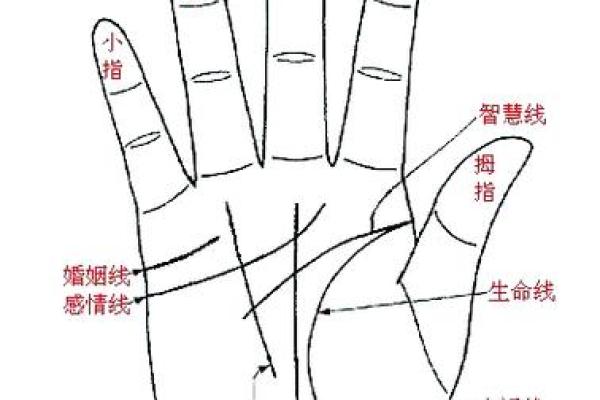 揭秘手相凤眼人：稀有魅力，你身边有几个？
