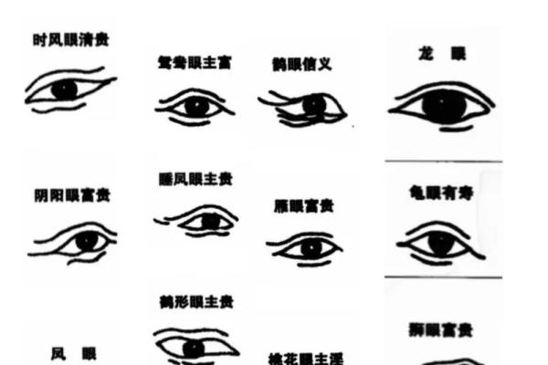 一眼识真伪，面相揭秘：揭秘面部特征背后的惊人秘密