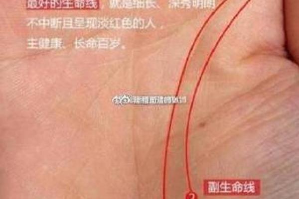 揭秘：手相命运线究竟隐藏哪些人生秘密？