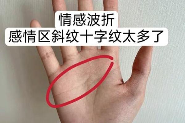 手相揭秘：恋爱运势一览无余，你的爱情线在哪里？