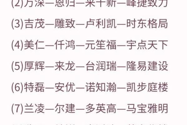 公司起名宝典：从创意到成功的命名秘诀