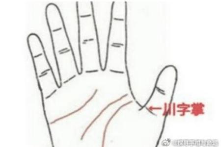揭秘手相奥秘：米字纹全图解，掌握运势财运的秘密武器