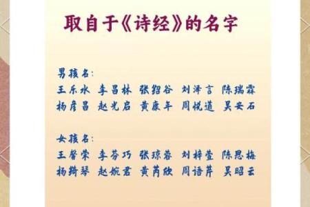 高氏起名秘籍：传承千年的文化与智慧