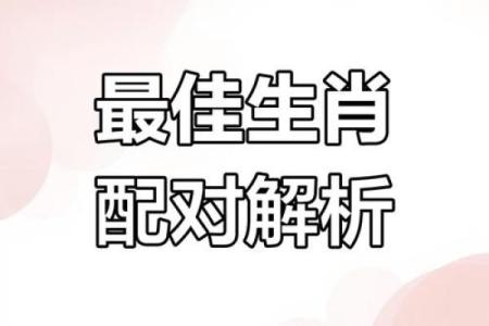 鼠龙相吸：揭秘最甜蜜的生肖配对