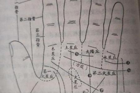 同事神秘赠手相，揭秘命运玄机
