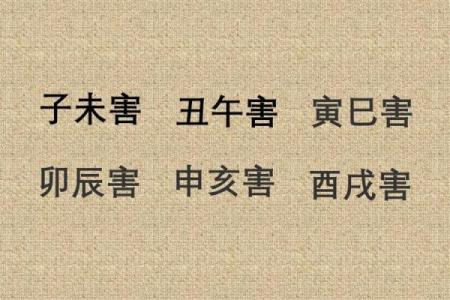 己酉日：揭秘上等命的奥秘