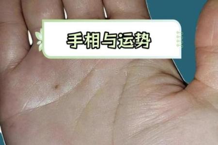 手相真的能决定你生孩子吗？揭秘生育命运的秘密
