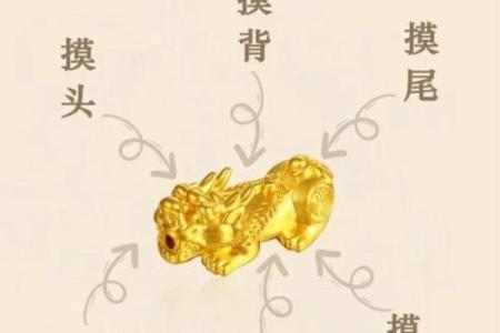 揭秘风水二十四相：布局家居，财运亨通的秘密武器