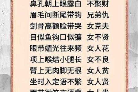 面相揭秘：你相信命运还是相信面相？揭秘五官背后的惊人秘密
