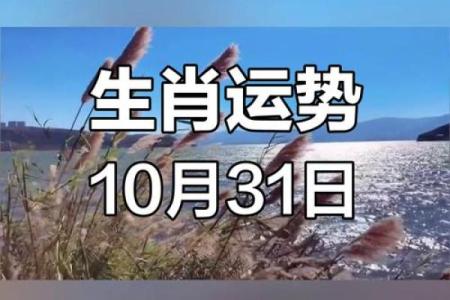 狗年遇鼠月，相配指数大揭秘