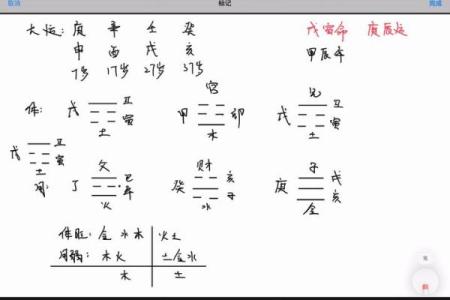 掌中宝！梅花易数手机排盘快速指南，精准分析人生走势