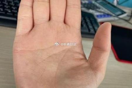 高颜值老公的秘密：揭秘手相中的魅力指数