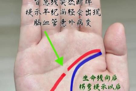 揭秘：看手相究竟该用左手还是右手？必看