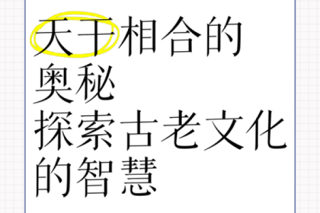 探寻天干与颜回的人生轨迹，智慧与命运的完美交融
