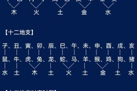 深度解析八字天干地支，助你洞悉人生轨迹！