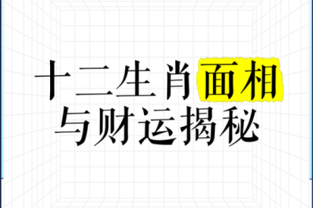 属属专属：揭秘与哪个生肖最般配的爆款组合