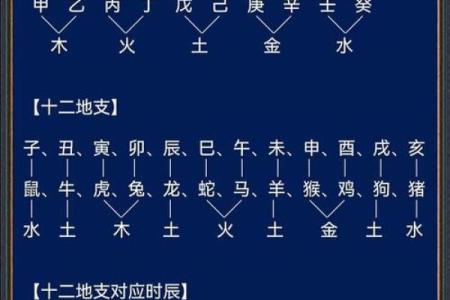 生肖与天干的神奇关联，影响你一生的命运