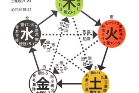 五行中的羽属性大揭秘，你知道吗？