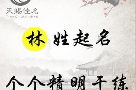 台湾起名公司如何通过命名为你带来好运