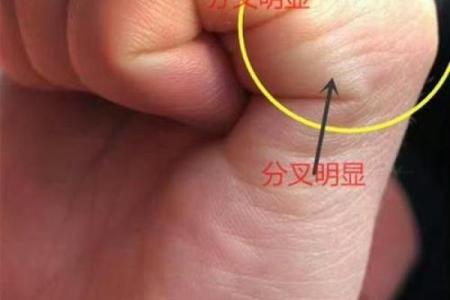 手相揭秘：中指纹路暗藏运势，三种独特纹路揭秘人生轨迹