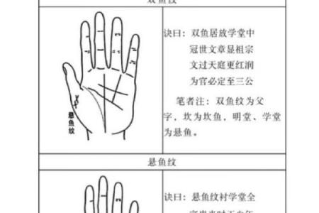揭秘富贵男人手相：掌握财运密码，让你财运亨通