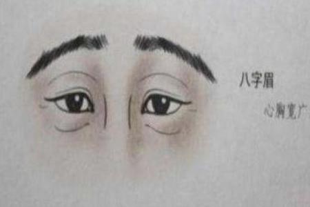 眉长藏珠，运势亨通：揭秘眉毛长面相的秘密
