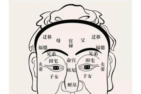 识人秘术：从面相看透人心，揭秘性格命运