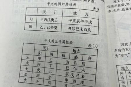 天干暗合：命理中的隐秘力量，助你走向成功