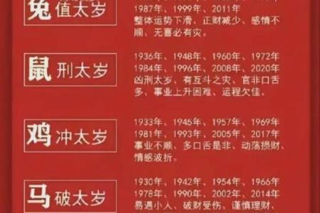 兔年五行运势揭秘：2023年属兔人五行命理大解析