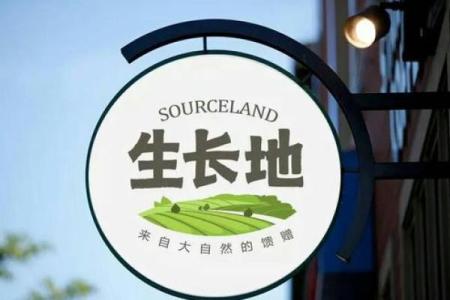 打造金华公司品牌的命名策略