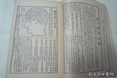 左小青命理实战技巧：如何运用命理学调整人生轨迹