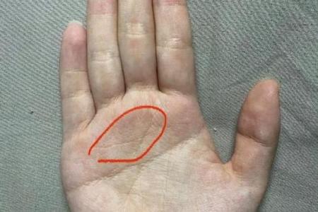 断掌手相揭秘：掌握运势，解锁人生巅峰的秘密