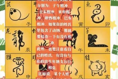 天河水命：揭秘生肖中的神秘力量