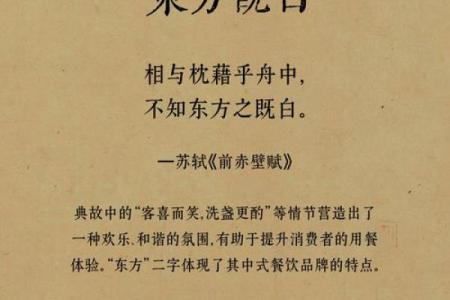 如何用诸葛智慧为公司起个吸引眼球的名字