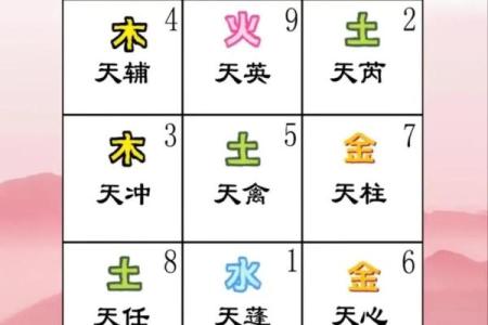 九星风水秘籍：揭秘家居布局的旺运之道