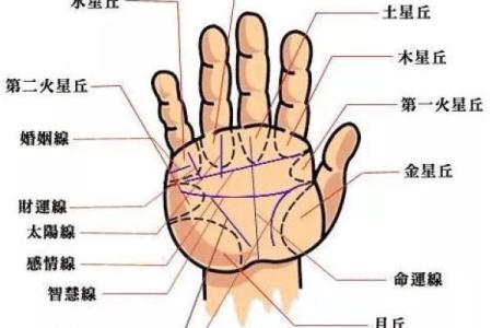 揭秘女性手相奥秘：五大套路，一眼识人
