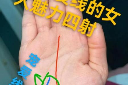 揭秘：手相中决定婚姻幸福的关键线条，女性必看