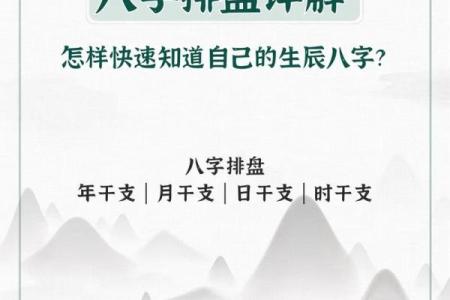 专家推荐！中华预测网排盘让你预测未来趋势