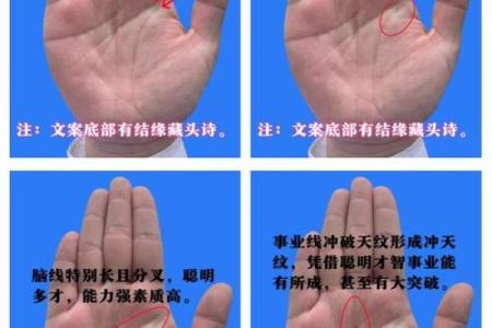 手相揭秘：一招看穿父母命运，揭秘家族传承的秘密