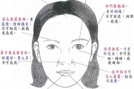 面相与手相的神秘关联：揭秘面相解读的隐藏秘密