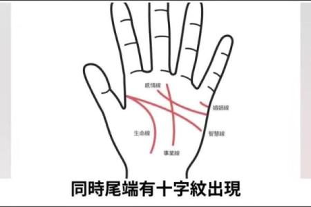 达摩一掌经排盘解密：如何用掌纹揭示命运的秘密