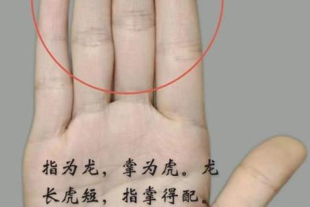 揭秘右手断掌手相，你不知道的财运秘密