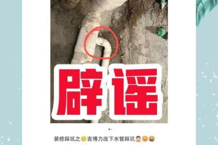 三通会命：揭秘三通会背后的神秘力量