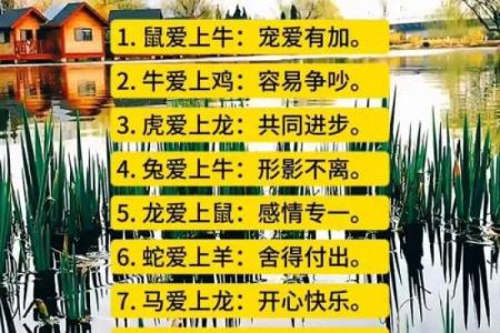 生肖配对宝典：轻松找到与你最匹配的另一半