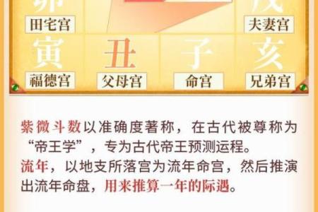 如何选择最准的紫微排盘平台？揭秘最精准的命运解析