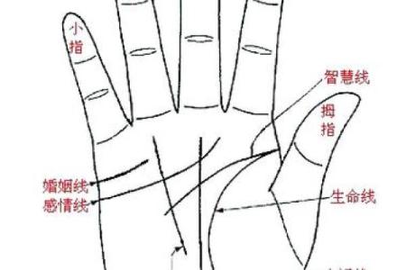 揭秘手相凤眼人：稀有魅力，你身边有几个？