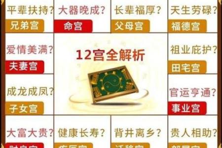 紫薇排盘流年解析：你的命运将如何变化？